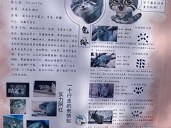 -青藏高原野生动物园