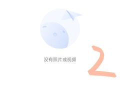 -奥兰多迪士尼动物王国乐园