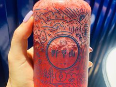 -野萃山·潮汕厚果汁(十亩地店)