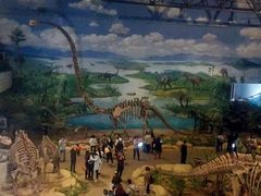 -自贡恐龙博物馆