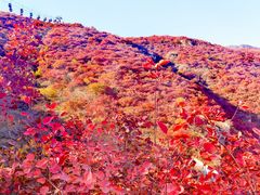 -周口店坡峰岭风景区