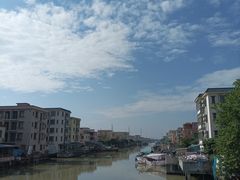 -大湾区中央湿地公园-十九涌