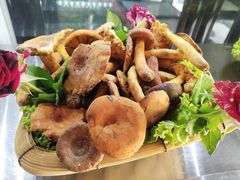 -蔼若春.传承三十年云南菜(金碧公园店)