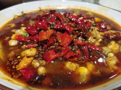 馋嘴蛙-老蜀人川菜馆(中关村店)