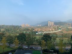 -成都蒲江花样年福朋喜来登度假酒店·宜客乐西餐厅