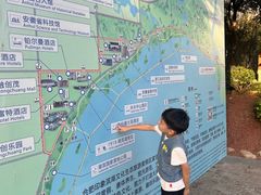 -合肥滨湖国家森林公园