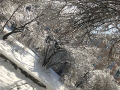 -吉林大学(南岭校区)
