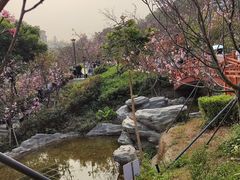 -小南山公园