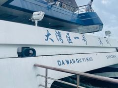-招商蛇口邮轮母港(观光客运)
