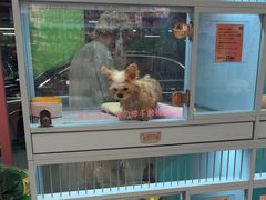 -FAELING PETS美天灵宠物(合生汇店)