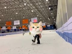 -绍兴启迪乔波冰雪世界
