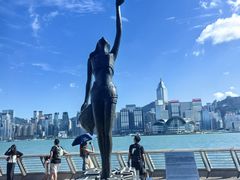 -星光大道