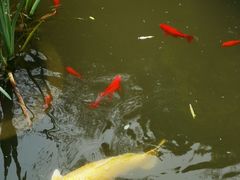 -聚缘堂·海鲜私房菜(松岭路店)