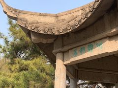-团结湖公园