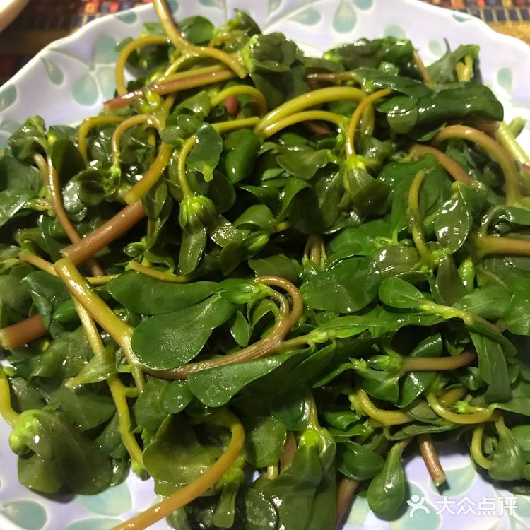 最适合夏天的凉拌蔬菜，凉拌马齿苋