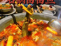 -石锅苗苗鱼(武汉首店)