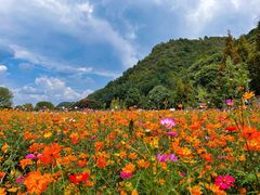 -贵阳市花溪国家城市湿地公园