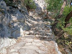 -北京鹫峰国家森林公园