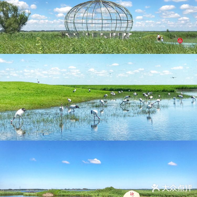 【旅行必打卡景点】鹤城齐齐哈尔，扎龙自然保护区
