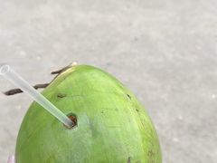 -朝阳公园游乐园