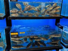 -莆鑫海鲜城(浏河店)