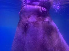 -皇家极地海洋世界-售票处