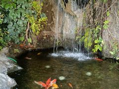 -香格里拉大酒店健身中心(建设路店)