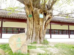 -苏州文庙(姑苏区)