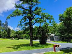 -四海公园(南山区)