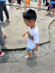 点击看大图 -季高兔窝窝亲子园(上海薰衣草公园店)