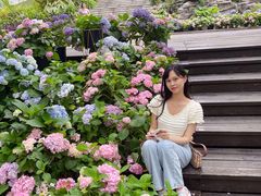 -广西壮族自治区药用植物园