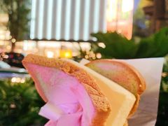 -詹爷爷乌节路街头冰淇淋