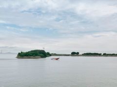 -大湾区中央湿地公园-十九涌