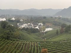 -帐篷客·溪龙茶谷度假酒店