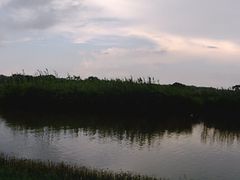 -大湾区中央湿地公园