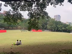 -广州雕塑公园