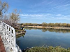 -大兴滨河森林公园