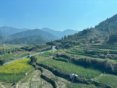 -婺源风景区
