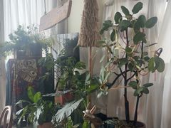 -Thai Basil罗勒叶泰式餐厅(时代天街店)