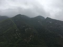-武陵山森林公园