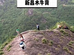 -四明山国家森林公园