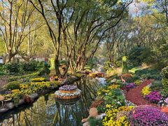 -上海共青森林公园