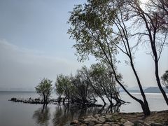 -洱海月湿地公园