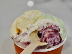 斑斓椰子-Dal Cuore 达可芮冰淇淋(陕西北路店)