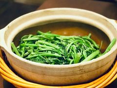 通心菜-熠盛粤味·顺德桑拿鸡(永康路店)