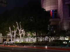 -上海外滩茂悦大酒店