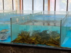 -耕渔小院·湖南鱼鲜(望城店)