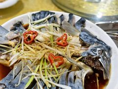 -煲来饱去冷水鱼