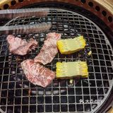 我的日料品鉴合集