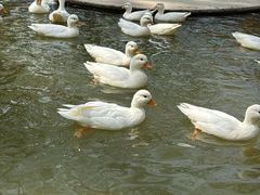 -南戴河国际娱乐中心